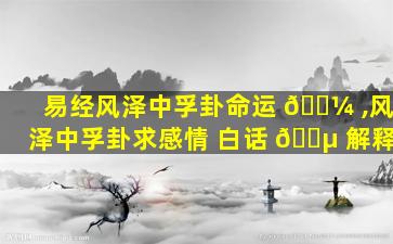易经风泽中孚卦命运 🐼 ,风泽中孚卦求感情 白话 🐵 解释